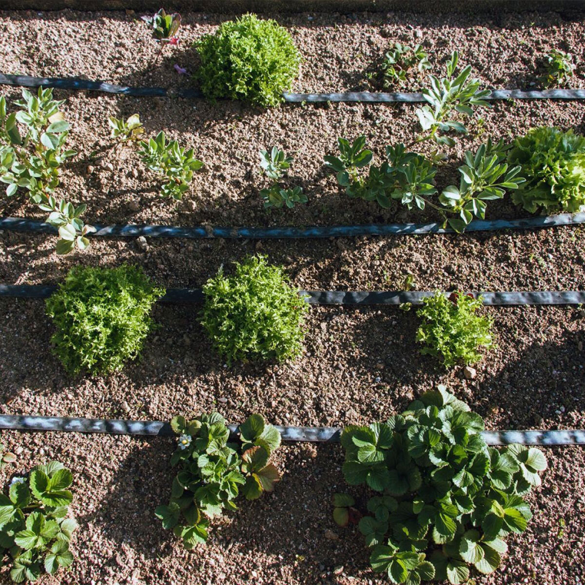 PLANETA HUERTO | Rollo Exudación Garden 25 m – Sistema de Riego Sostenible para Césped y Jardines
