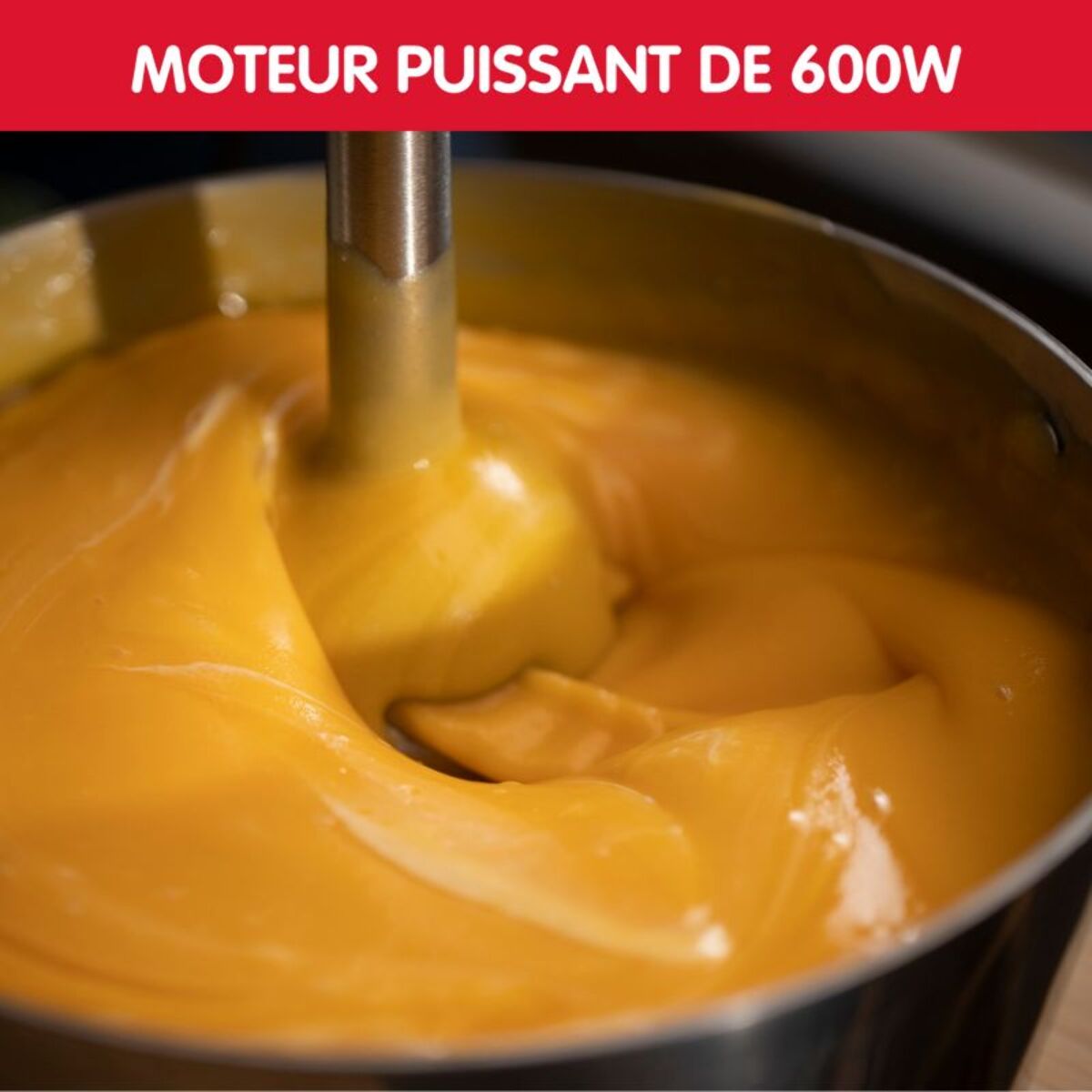 Mixeur MOULINEX DD46E810 ECO RESPECT