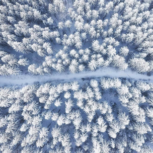Affiche bleue de neige blanche Affiche + cadre en bois - Noir