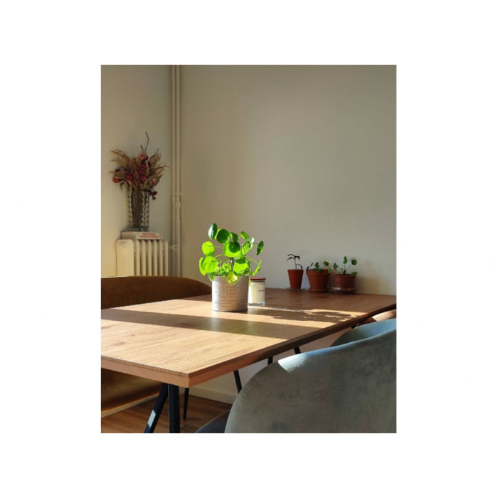 Table de repas en bois & métal L160cm - STRIPE