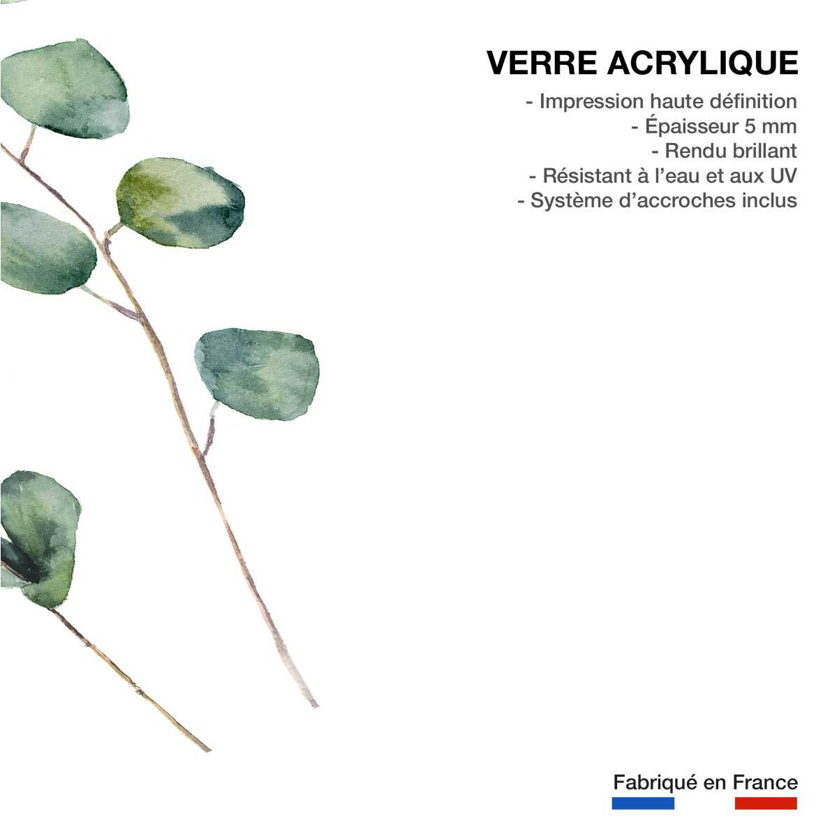 Tableau nature aquarelle feuilled' eucalyptus Tableau plexiglas
