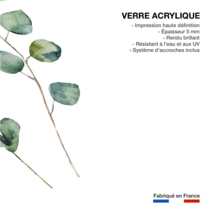 Tableau nature aquarelle feuilled' eucalyptus Tableau plexiglas