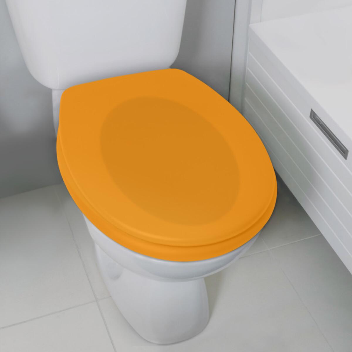 Abattant wc Thermo dur avec frein de chute NEELA Safran mat - Charnières ABS Chromé Spirella