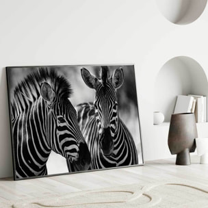 Affiche encadrée zèbres en noir et blanc Affiche + cadre en métal - Noir