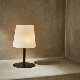 Lampe de table intérieur/extérieur LED 16cm LAMPADA S COLOR
