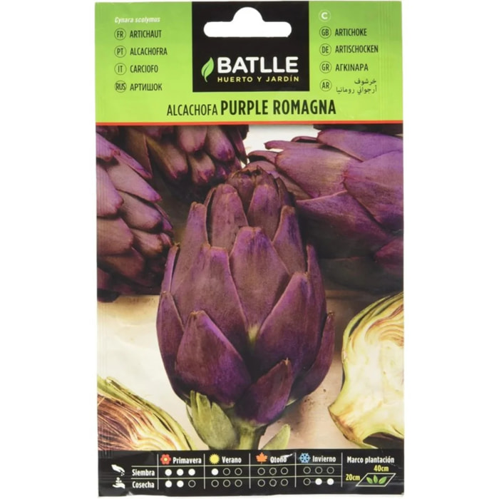 Semillas de Alcachofa Purple Romagna Batlle