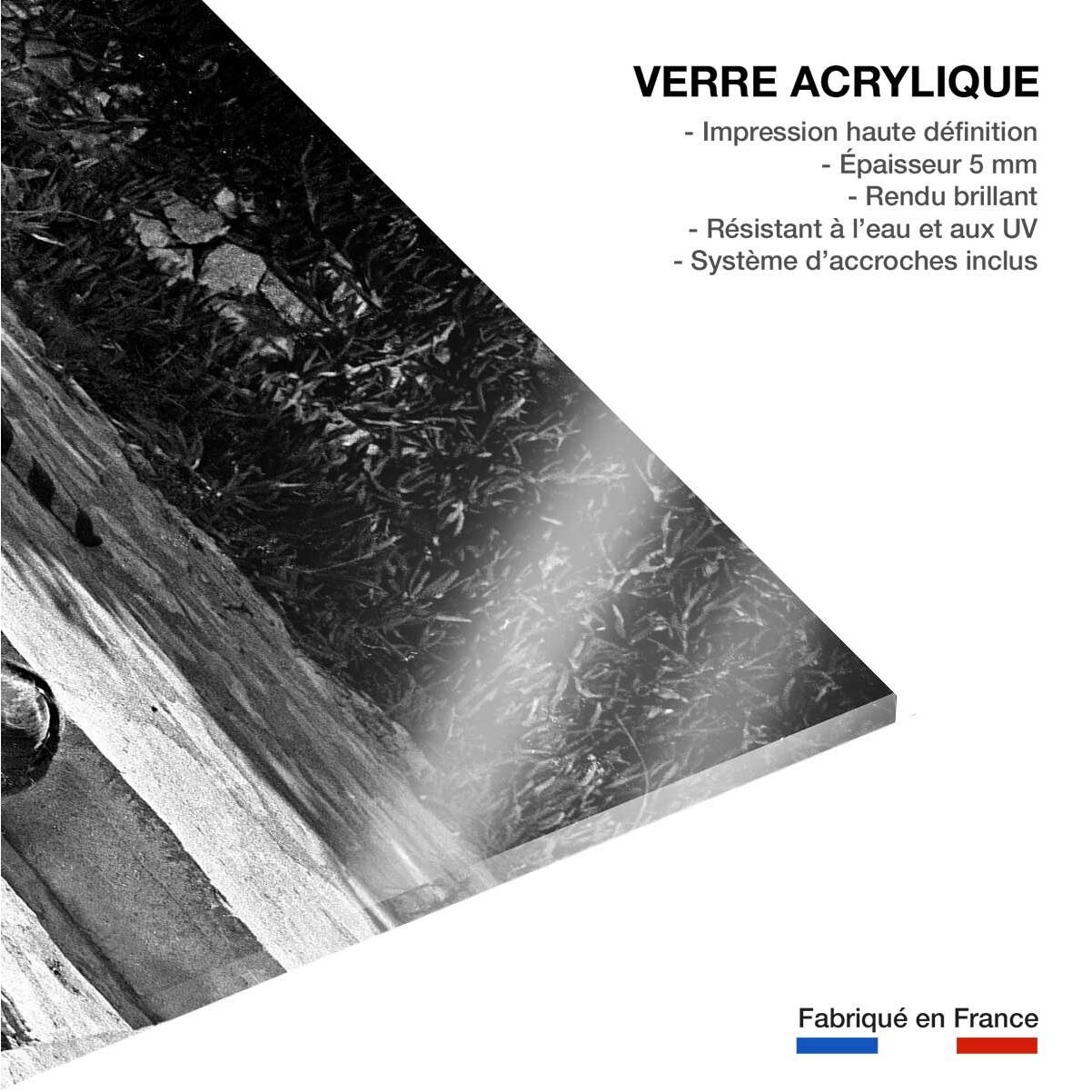 Tableau la piscine romy schneider et alain delon en 1968  Tableau plexiglas