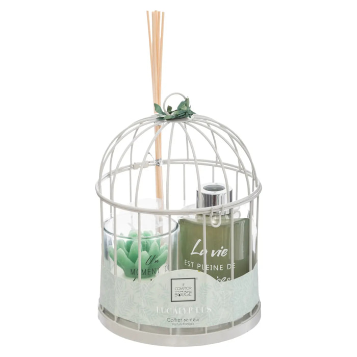 Coffret cadeau cage "Zen" - Eucalyptus