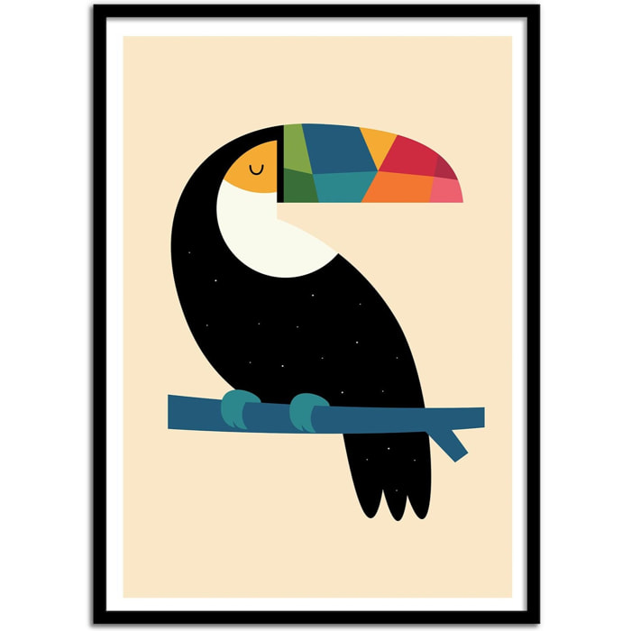Affiche - Rainbow Toucan - Andy Westface