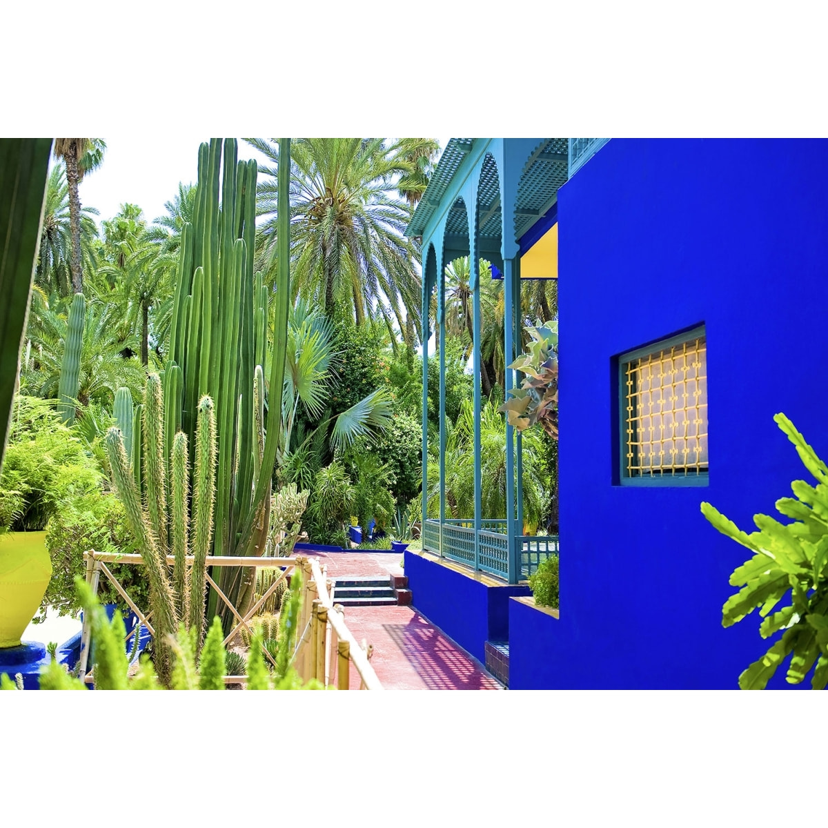 Tableau jardin majorelle Tableau plexiglas