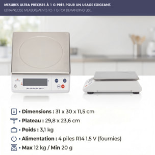 Balance électronique professionnelle - 12kg - IP53 - précison 1g - plateau amovible inox 29,8 x 23,6 cm