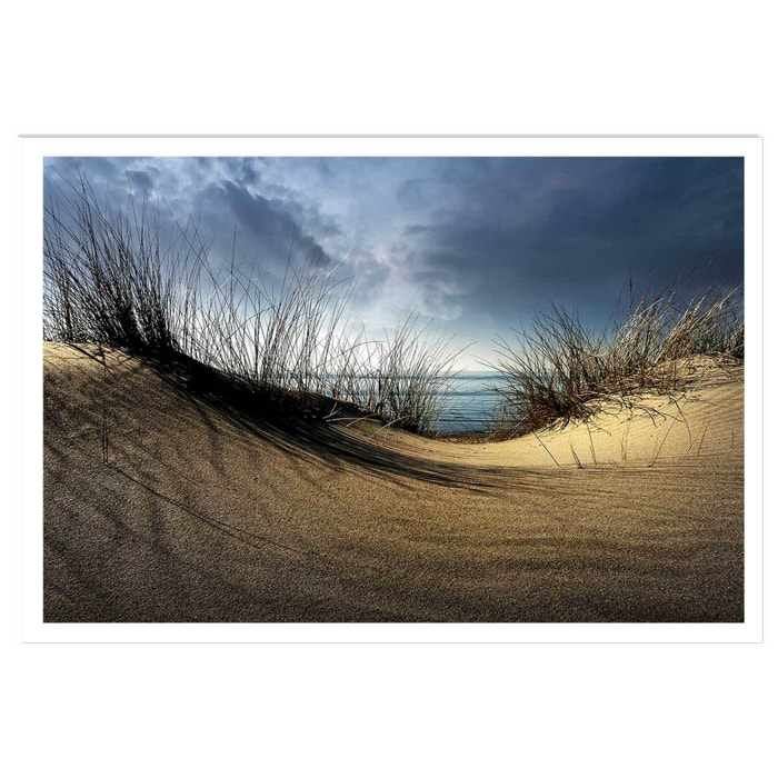 Affiche dunes secrètes... Affiche seule