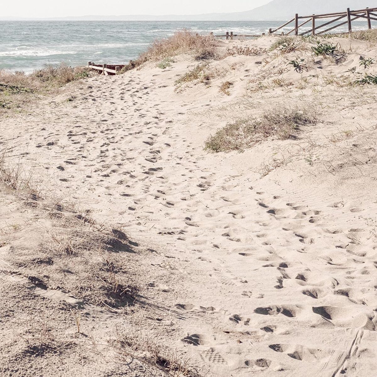 Tableau mer chemin de sable  Toile imprimée