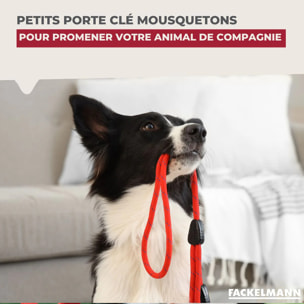 Petit mousqueton porte clé Fackelmann Tecno