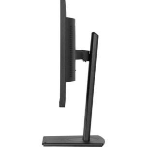 Ecran PC IIYAMA PROLITE XUB2497HSN-B2 24'' Plat IPS