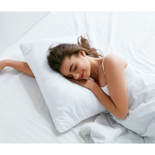 Pack de 2 Almohadas Visco Basic