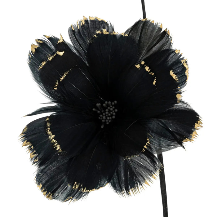 Branche plume noir H65