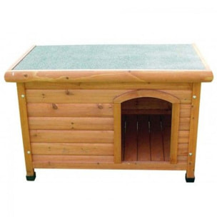 Shelter Canile per Cani - MD