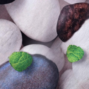 Tapis fin - Lavable en machine - CAILLOUX