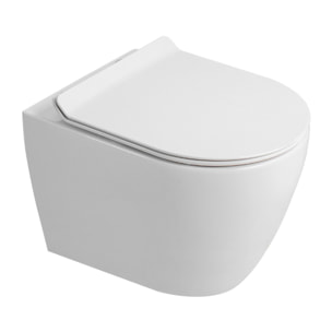 Duofix Pack WC bâti-support 112 cm + WC suspendu sans bride Ceramia avec abattant SoftClose + plaque blanche (GEBCEPXWT01-FR)
