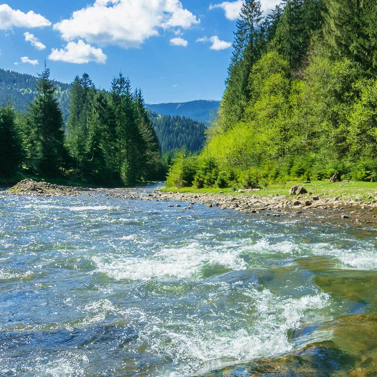 Affiche encadrée rivière en forêt et nature Affiche + cadre en métal - Noir