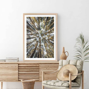 Affiche nature perspective des cîmes Affiche + cadre en bois - Chêne