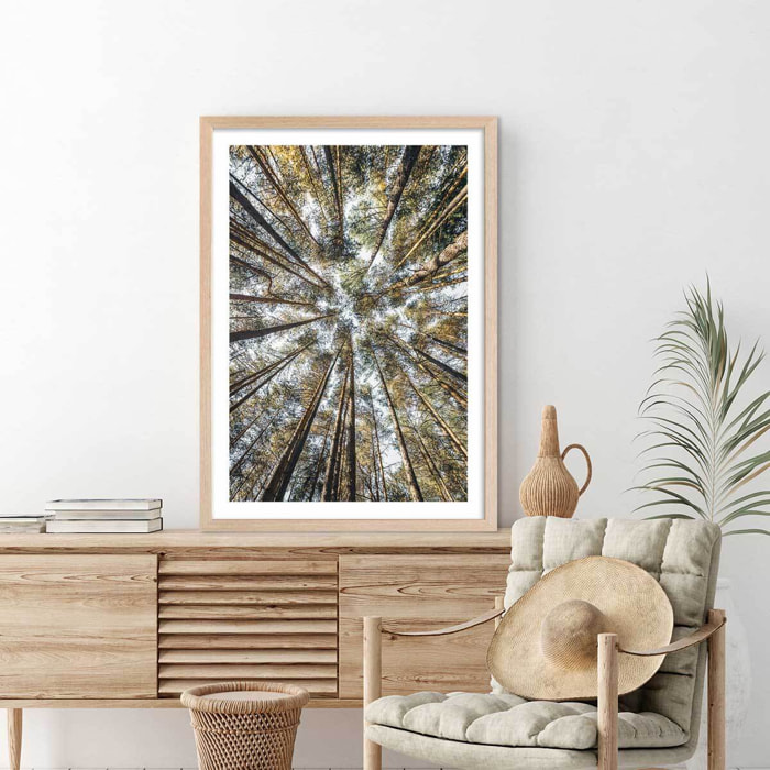 Affiche nature perspective des cîmes Affiche + cadre en bois - Chêne