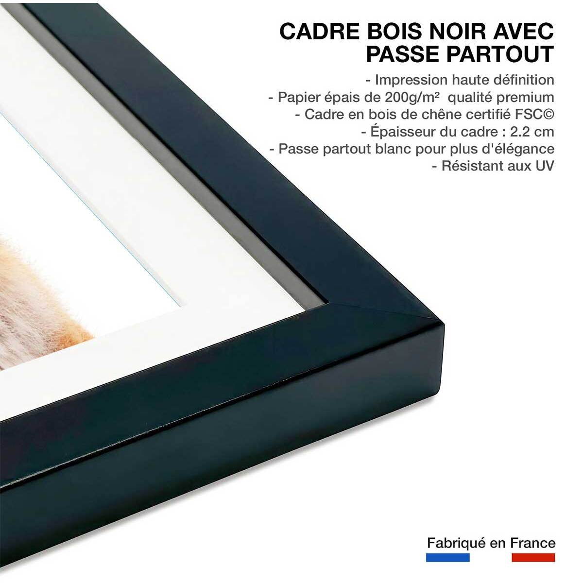 Affiche enfant bébé fox  Affiche + cadre en bois - Noir