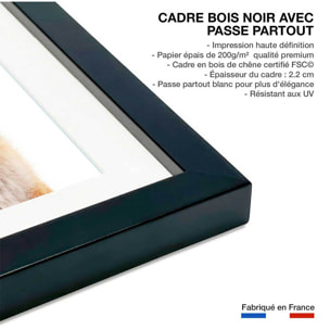 Affiche enfant bébé fox  Affiche + cadre en bois - Noir