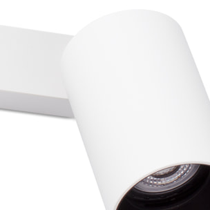 STAN 2L Lampe applique/plafond blanc