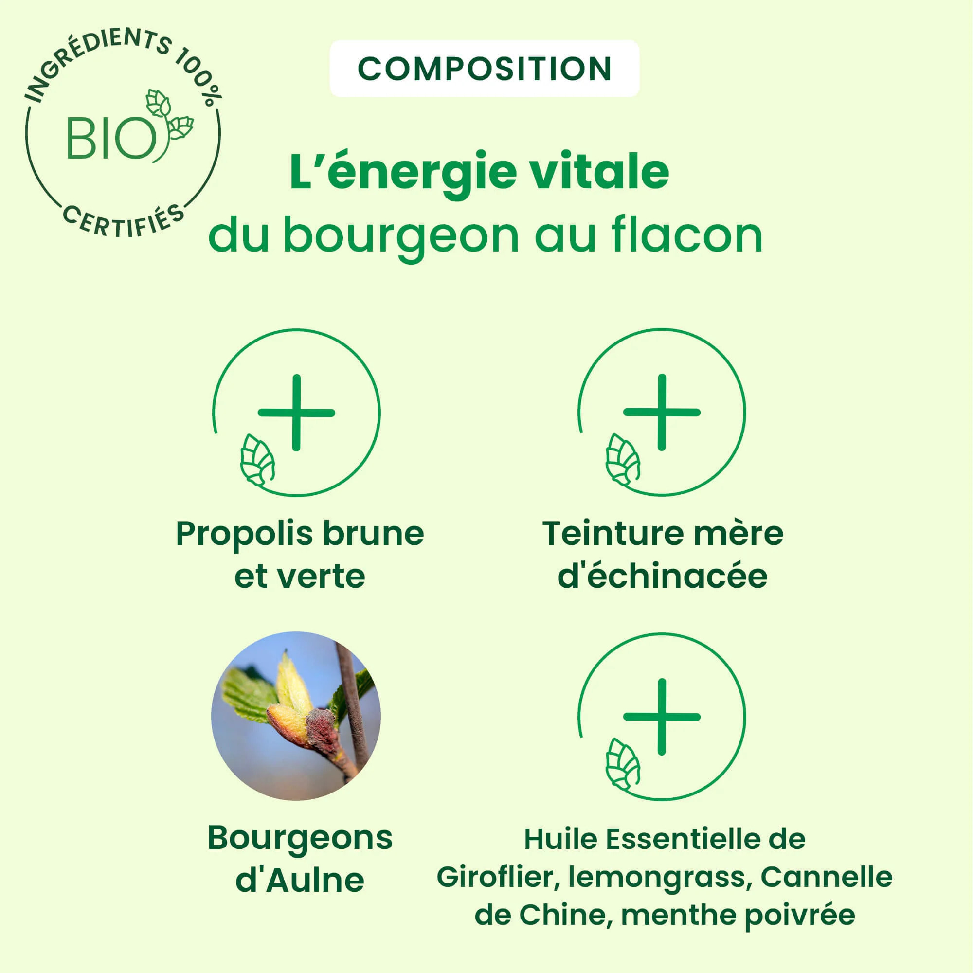 Herbalgem- Spray Propolis Large Spectre - Bio - 15 ml