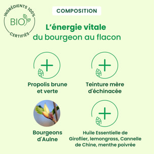 Herbalgem- Spray Propolis Large Spectre - Bio - 15 ml