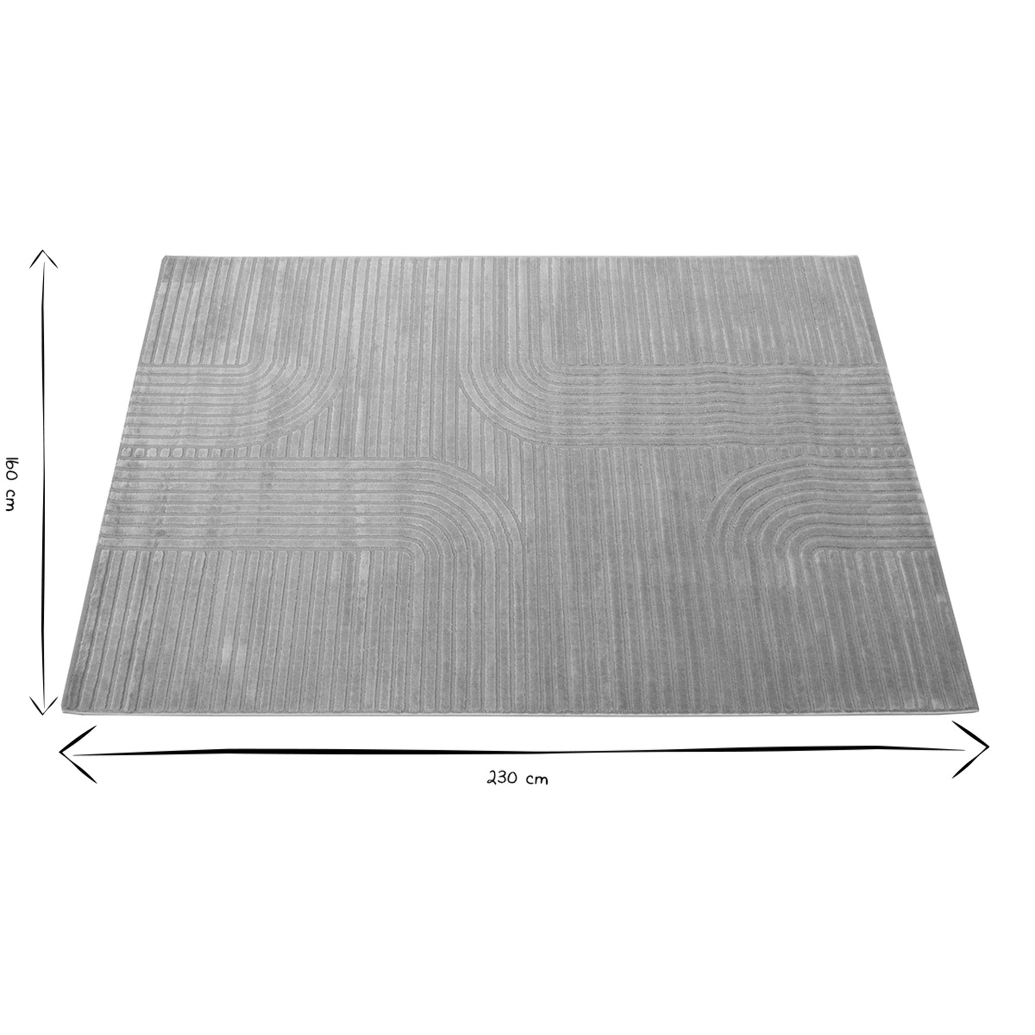Tapis graphique rectangulaire gris 160 x 230 cm MAGNUS