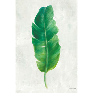 Tableau Feuille de bananier illustrée Tableau alu Dibond
