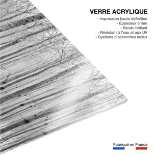 Tableau nature automnale pieds dans l'eau Tableau plexiglas