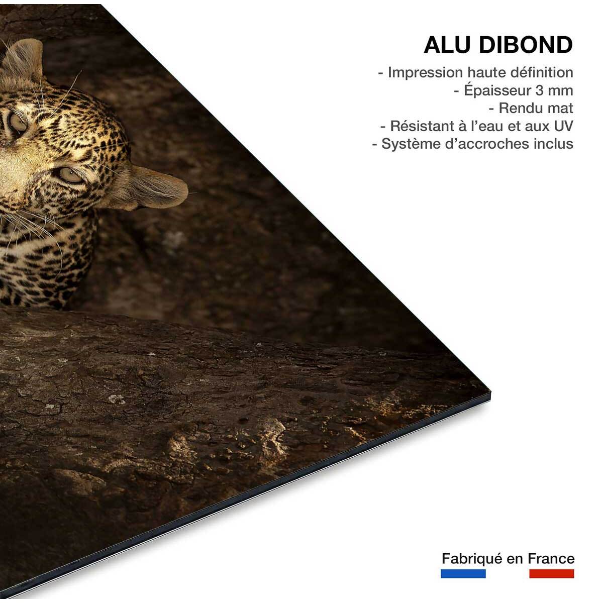 Tableau masai léopard Tableau alu Dibond