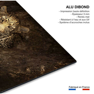 Tableau masai léopard Tableau alu Dibond