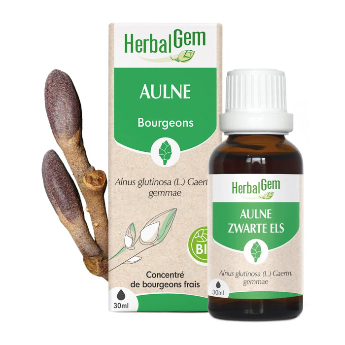 Herbalgem- Bourgeon d'Aulne - Bio - 30 ml