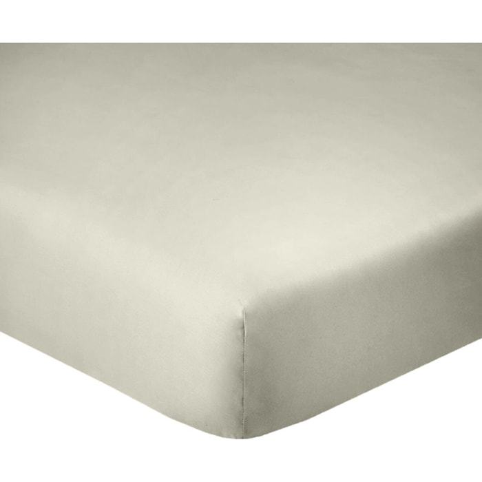 Drap housse coton grège