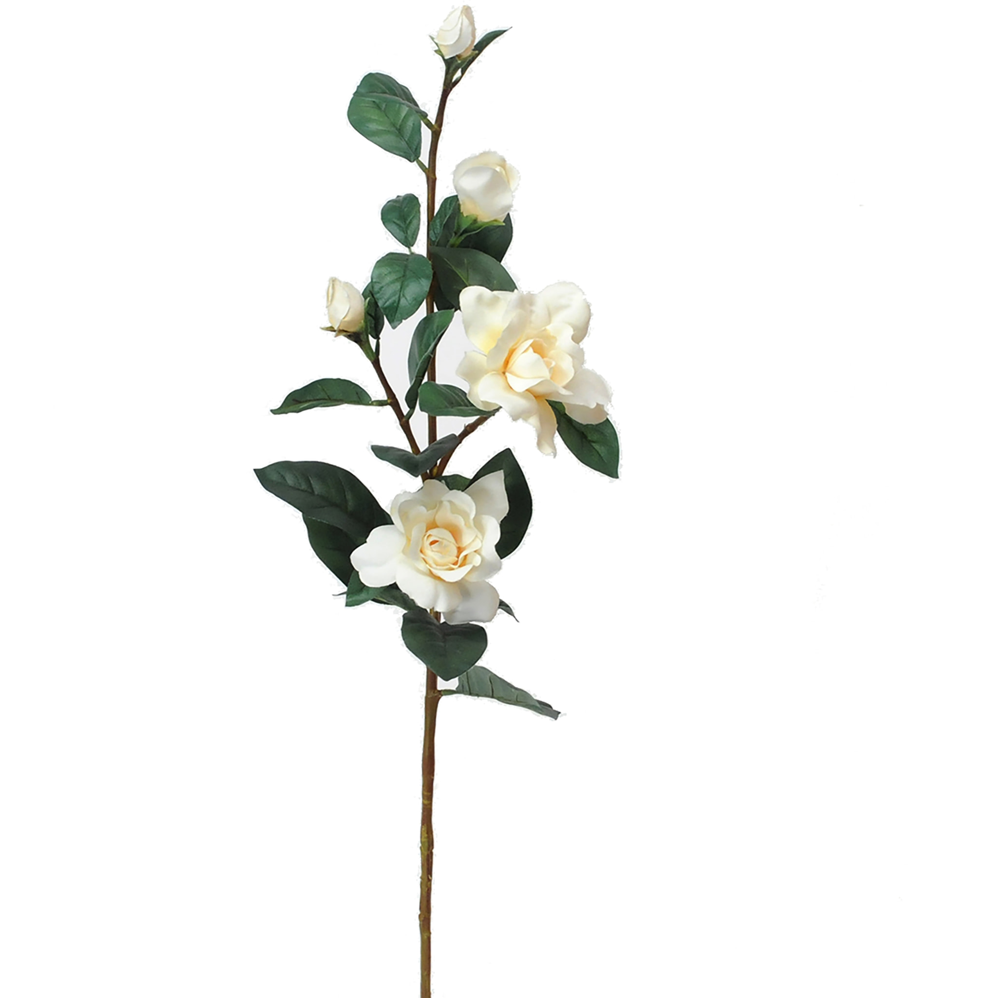 Ramo Di Gardenia. Altezza 82 Cm - Pezzi 3 - 24X82X16cm - Colore: Bianco - Bianchi Dino - Fiori Artificiali