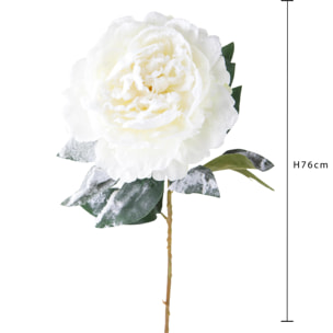 Peonia - Pezzi 12 - 20xH76x20cm - Bianchi Dino SpA