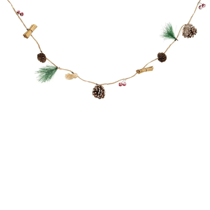 GD INT NAT PP BAIE 20LBC L220P