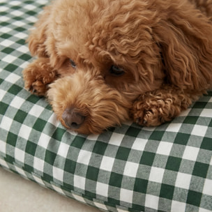 Lit pour animaux déhoussable et antitaches Aielo Bouteille