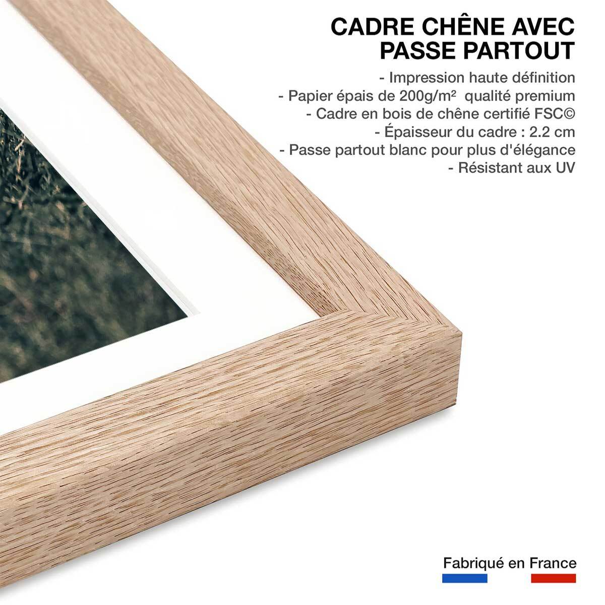 Affiche lion mon roi Affiche + cadre en bois - Chêne