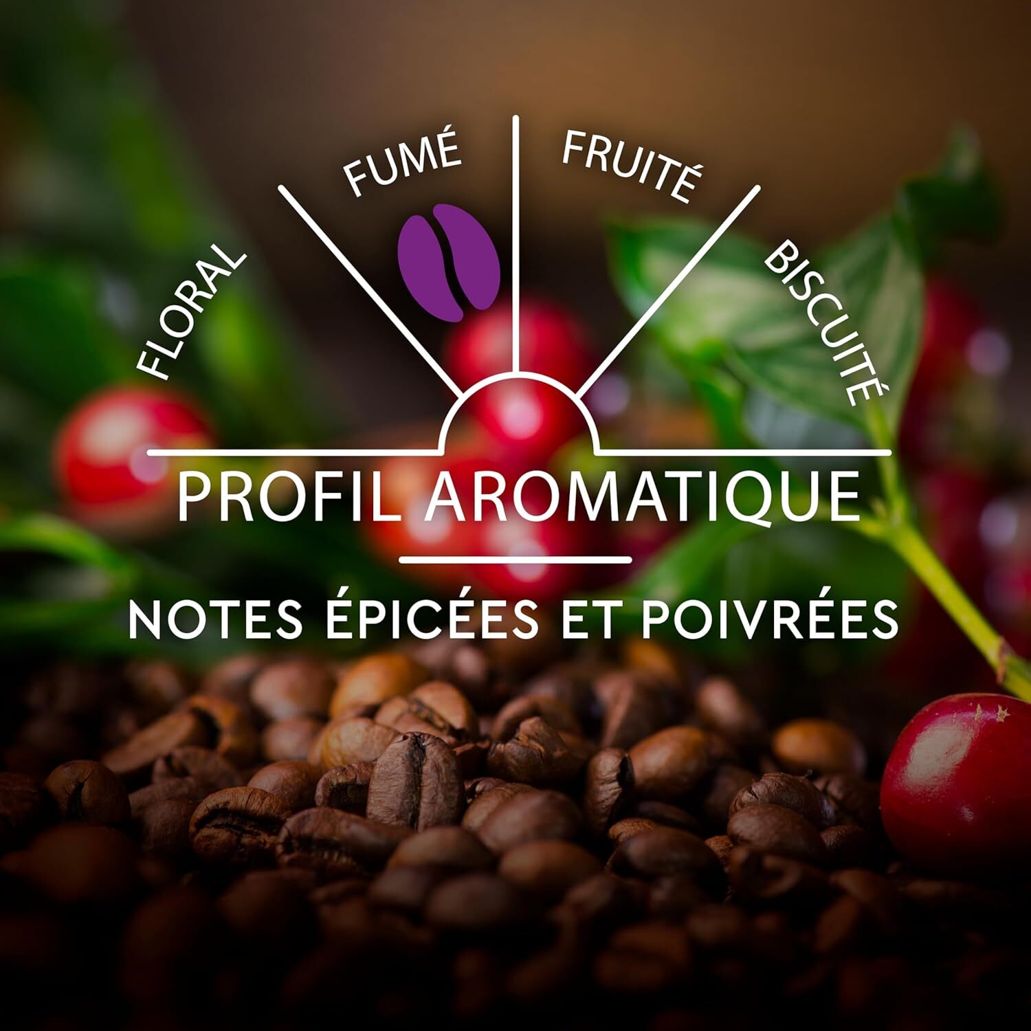 Carte Noire Espresso Puissant n°11 55g