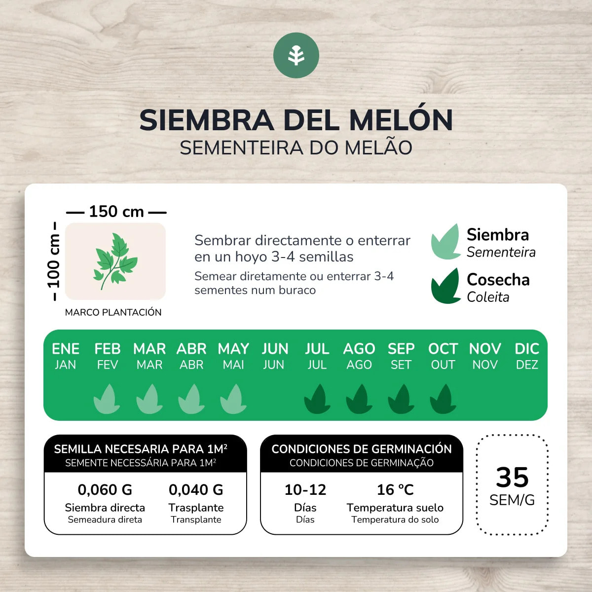 Semillas de Melón piel de sapo ecológicas Planeta Huerto