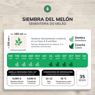 Semillas de Melón piel de sapo ecológicas Planeta Huerto