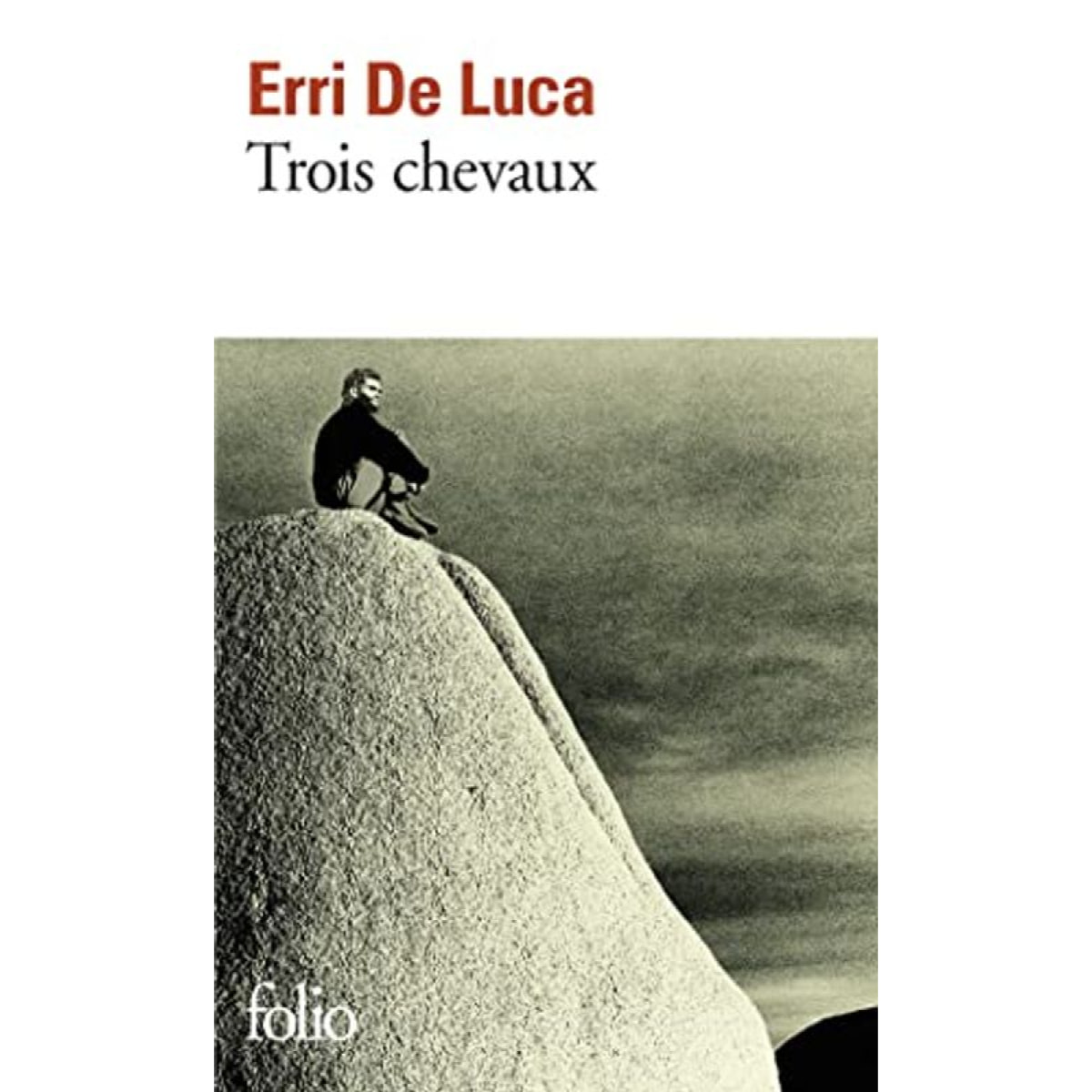 De Luca, Erri | Trois chevaux | Livre d'occasion