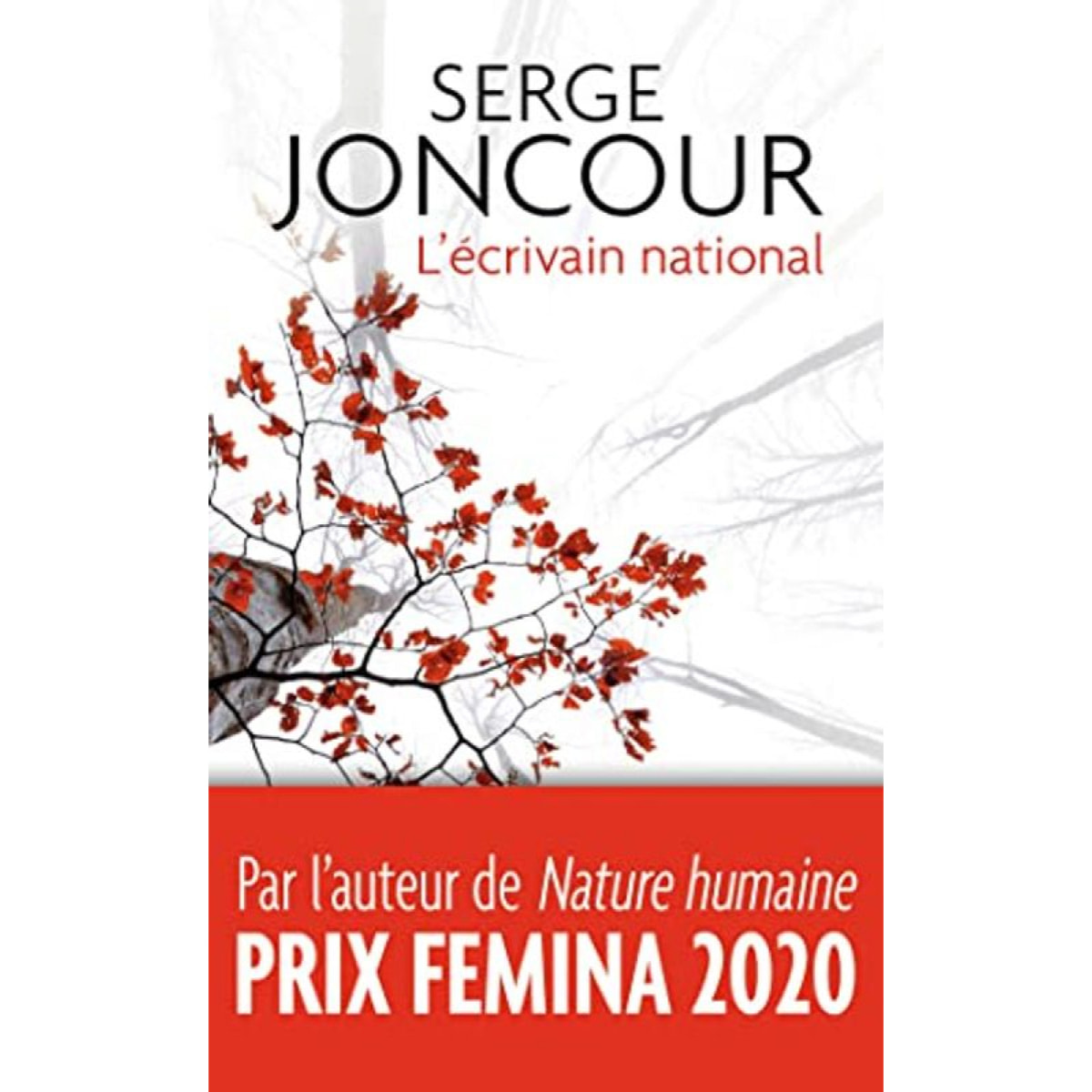 Joncour, Serge | L'écrivain national | Livre d'occasion