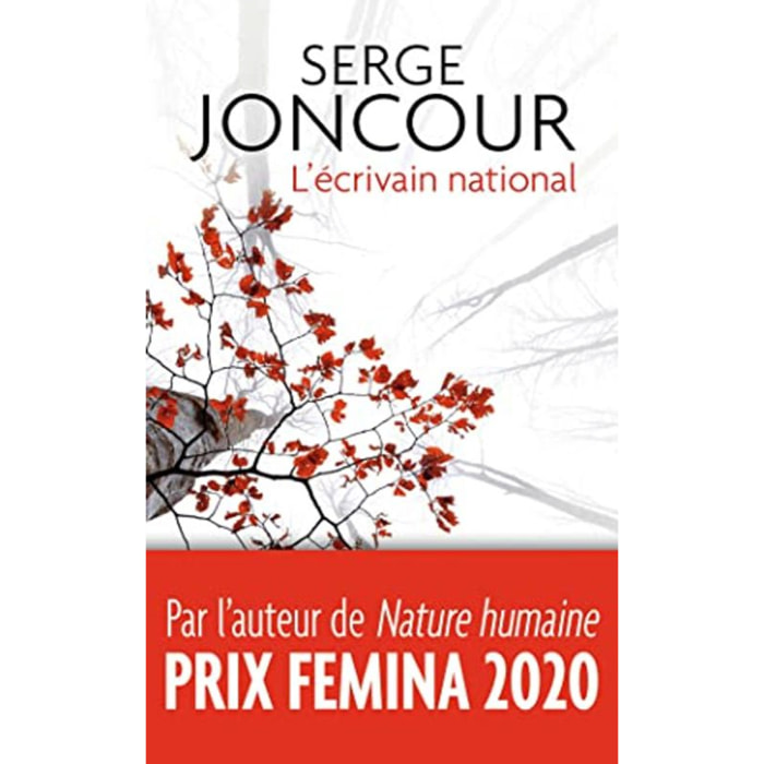 Joncour, Serge | L'écrivain national | Livre d'occasion
